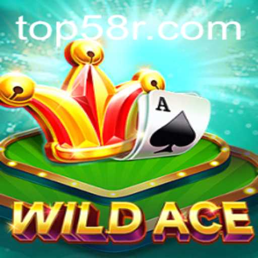 WildAce: Um Mergulho no Universo Inovador de 58R.COM